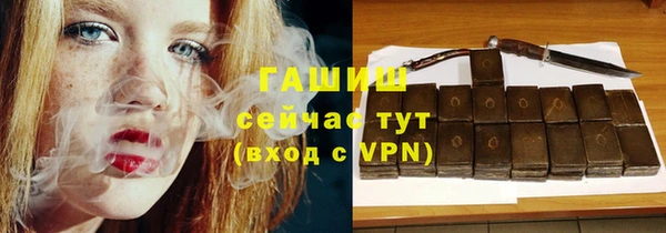 шишки Алзамай