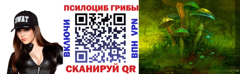 Псилоцибиновые грибы Magic Shrooms  сколько стоит  Железногорск 